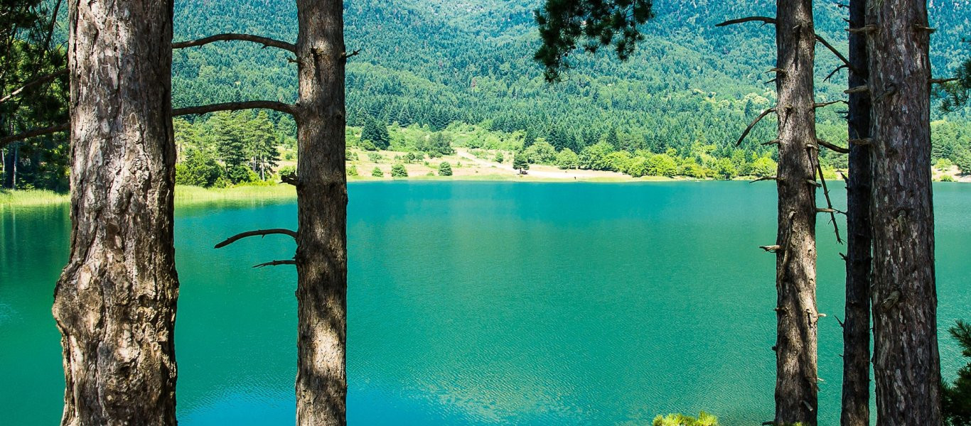 WWF: Μεγαλώνει το φάσμα κάλυψης του προγράμματος Natura 2000